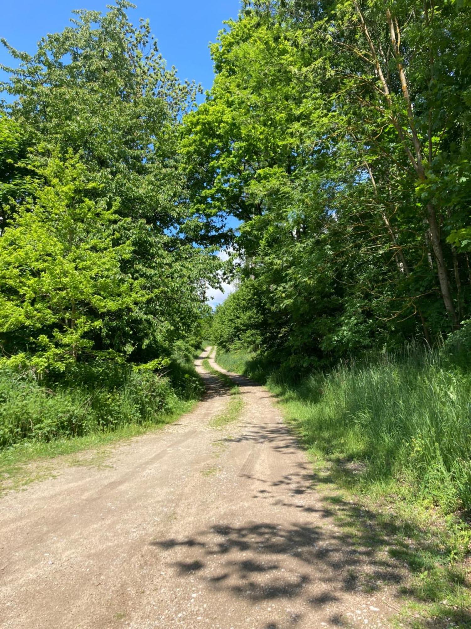 Na Mlejne Lägenhet Telč Exteriör bild